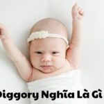 Diggory Nghĩa Là Gì