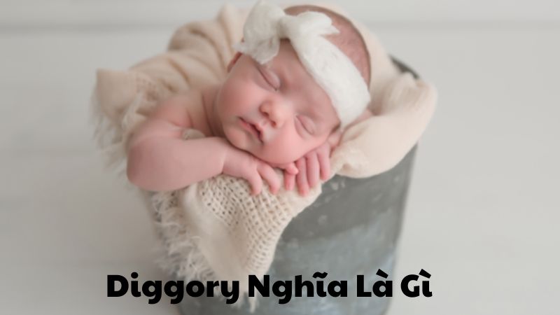 Diggory Nghĩa Là Gì