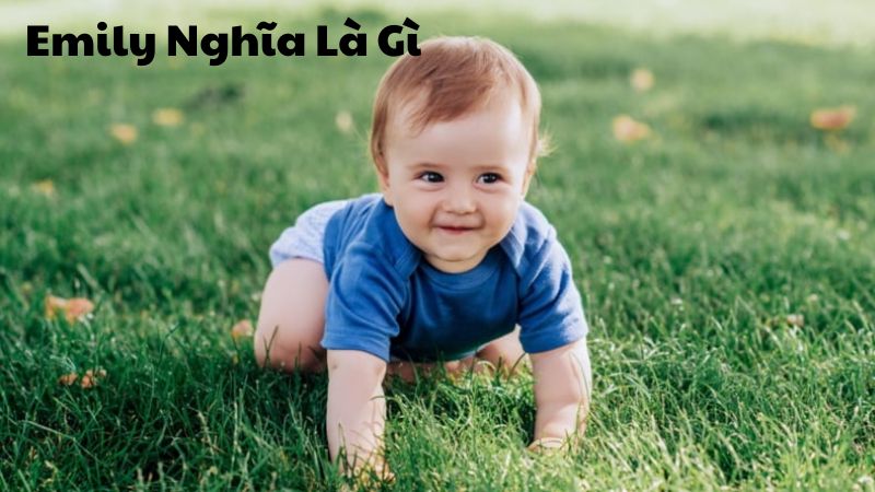 Emily Nghĩa Là Gì Trong Các Nền Văn Hóa Khác Nhau