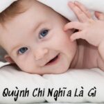 Quỳnh Chi Nghĩa Là Gì