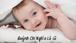 Quỳnh Chi Nghĩa Là Gì: Vẻ Đẹp Thanh Tao Và Tài Năng