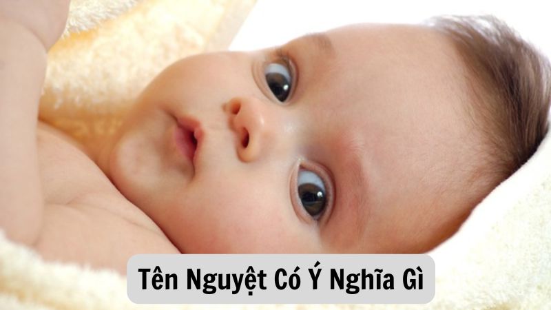 Tên Nguyệt Có Ý Nghĩa Gì? Một Cái Tên Thanh Thoát Và Lãng Mạn