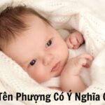 Tên Phượng Có Ý Nghĩa Gì