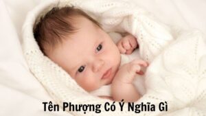 Tên Phượng Có Ý Nghĩa Gì? Những Điều Bạn Cần Biết