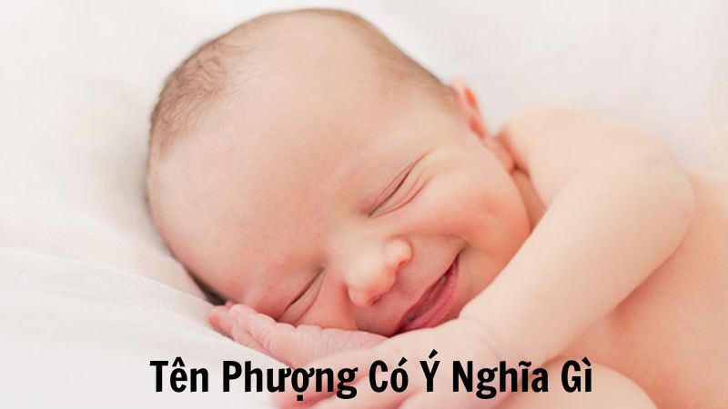 Tên Phượng Có Ý Nghĩa Gì