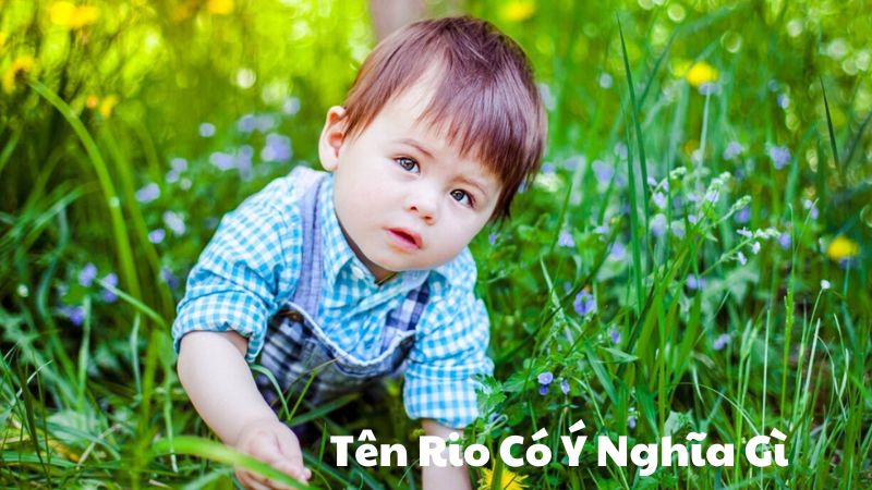 Tên Rio Có Ý Nghĩa Gì Trong Tiếng Tây Ban Nha Và Nhật Bản