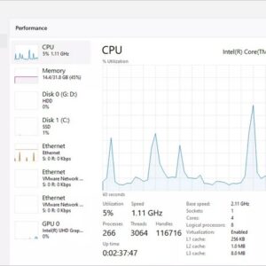 Windows Task Manager